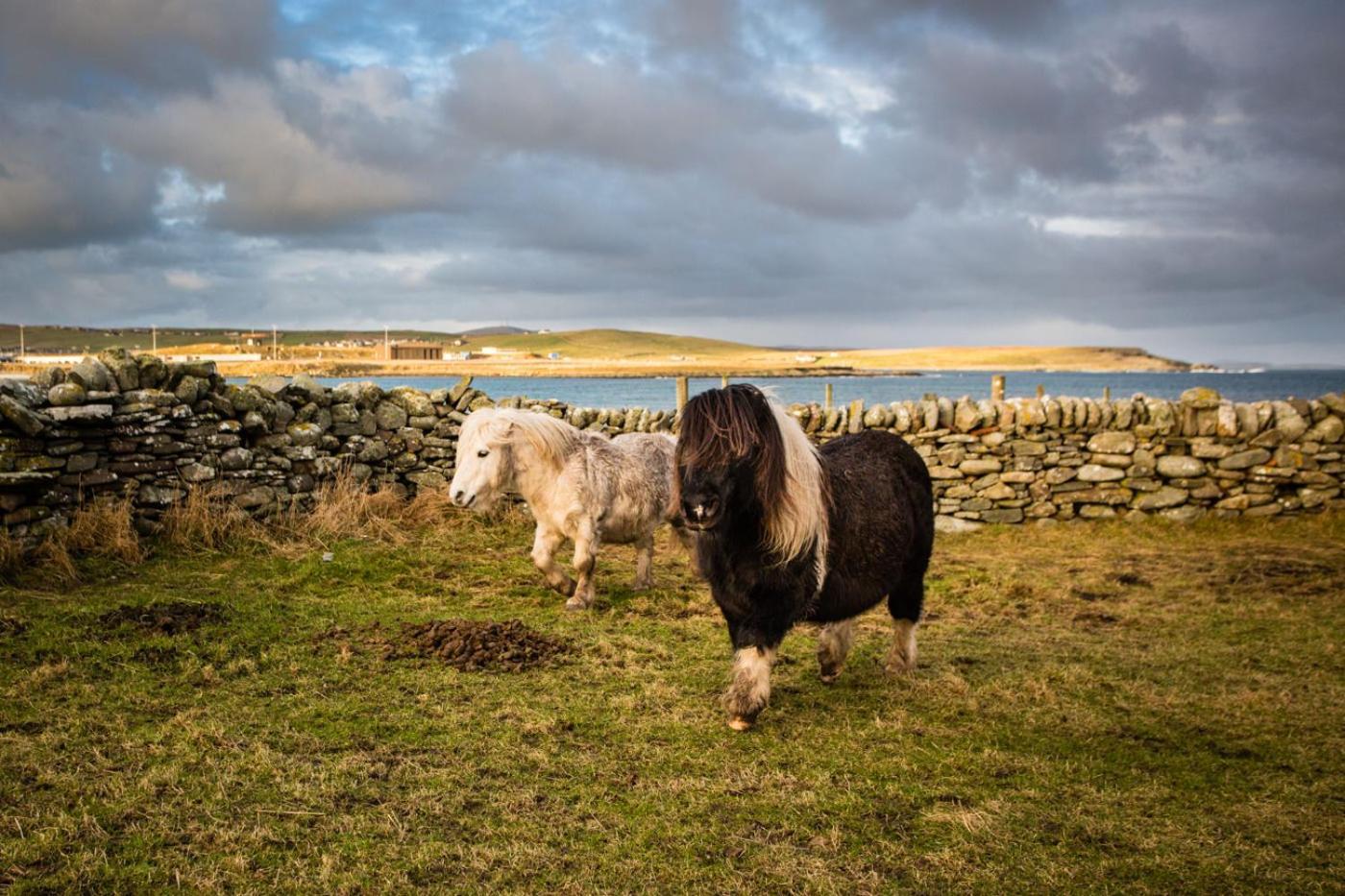 Carradale Guest House Lerwick Ngoại thất bức ảnh